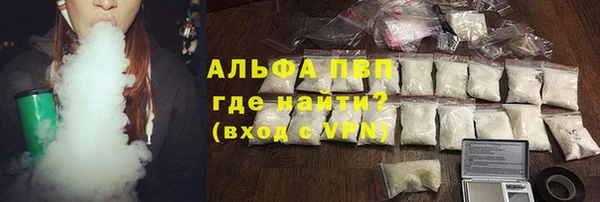 гидра Магас