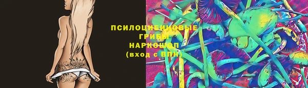 гидра Магас