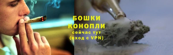 spice Магадан