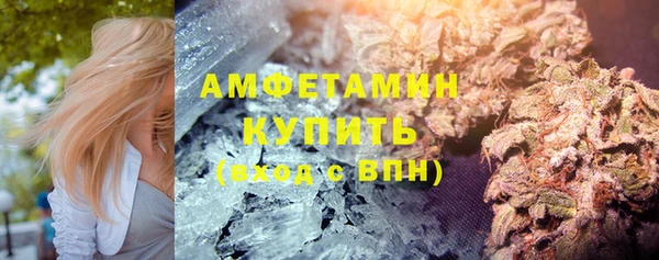 гидра Магас