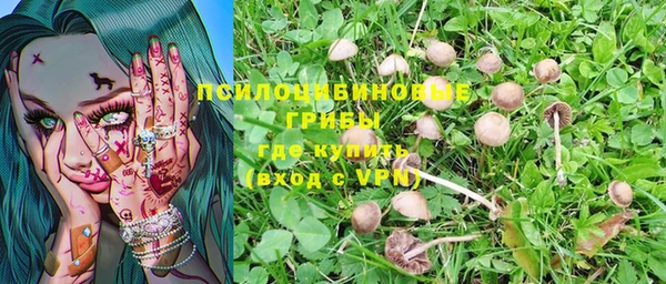 spice Магадан