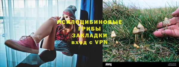 spice Магадан