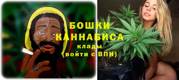 гидра Магас